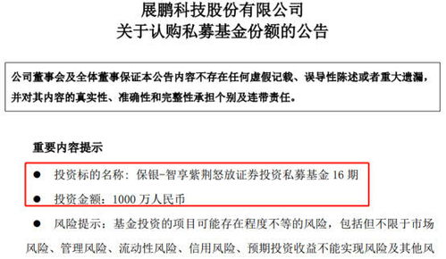 私募投資新動(dòng)向 展鵬科技等七家公司年內(nèi)豪擲5.53億認(rèn)購(gòu)，因私出入境中介服務(wù)引關(guān)注